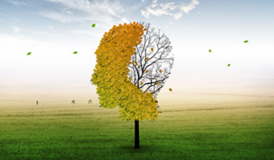 ����鿴��ͼ