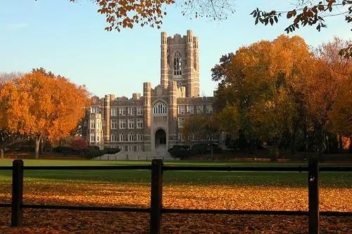 ������ѧ����