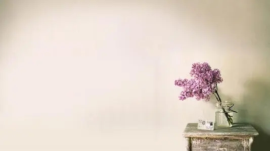 ������ѵ