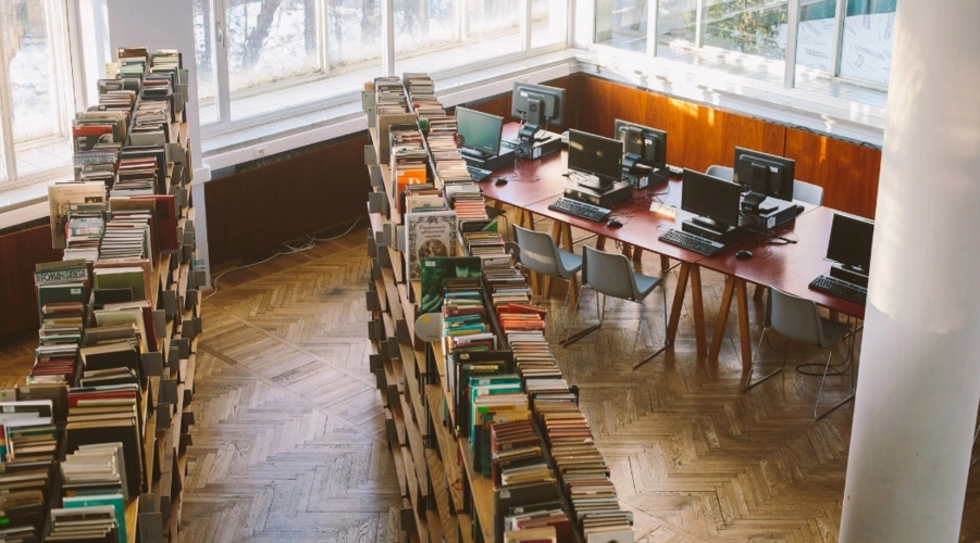 ������ѵ