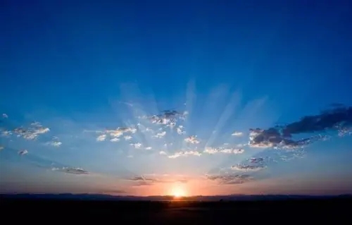 ������ѵ