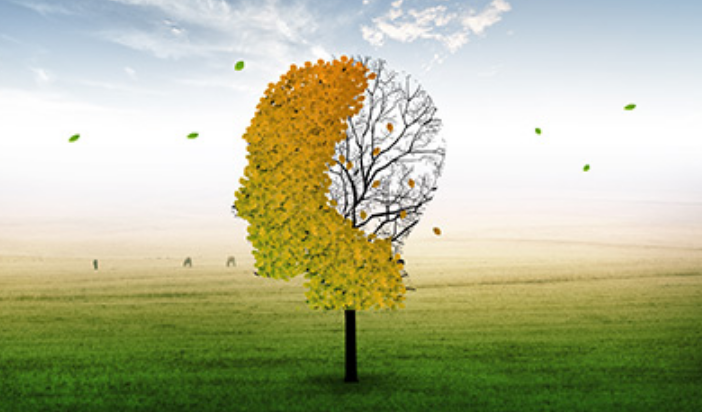 ��ͯע����