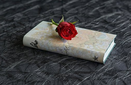 ������ѵ