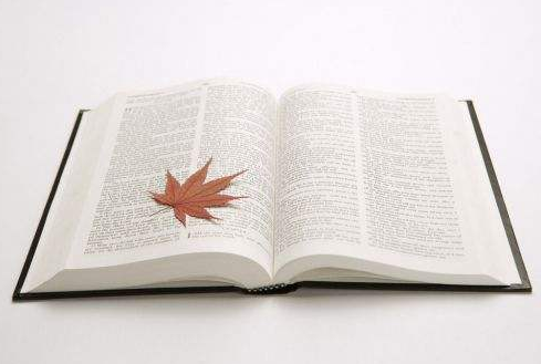 ������ѵ