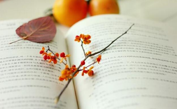 ������ѵ