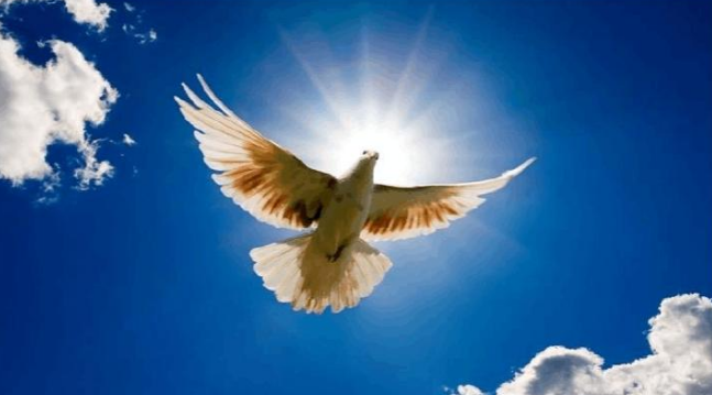 ������ѵ