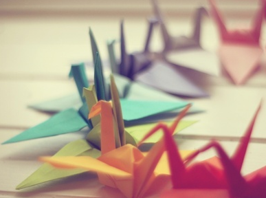 ������ѵ