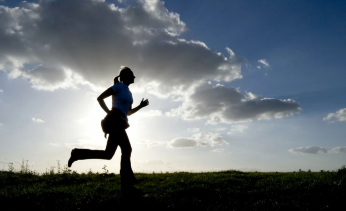 ������ѵ