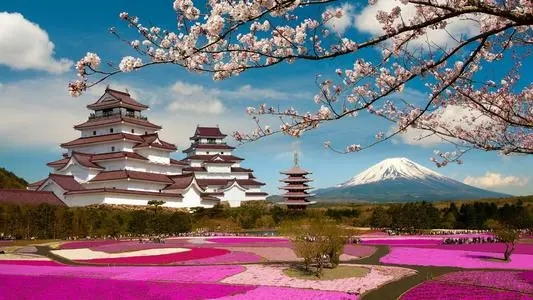 日本留学