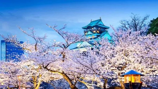 日语培训