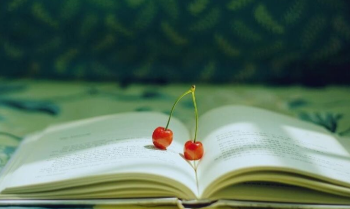 ������ѵ