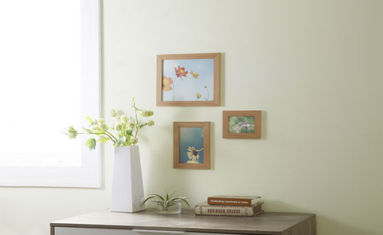 ������ѵ