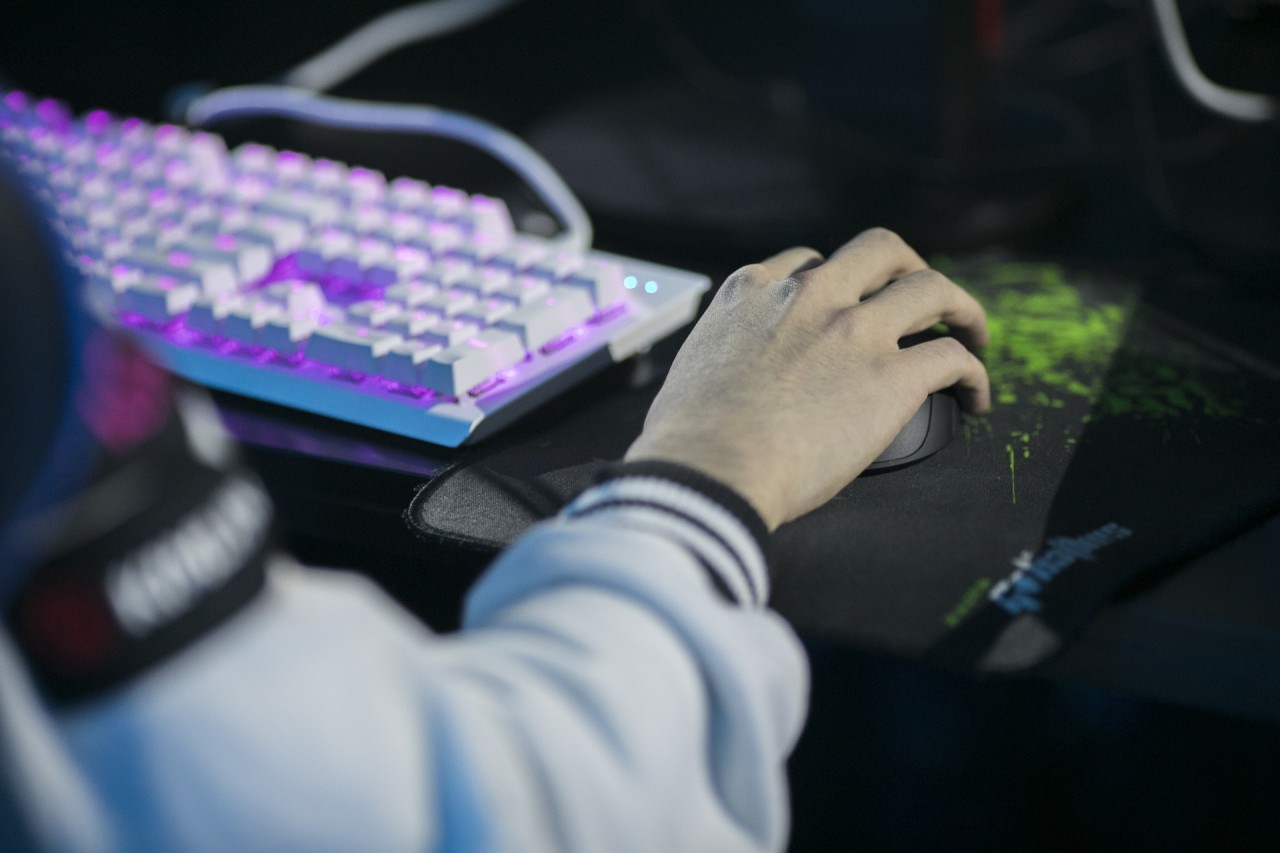 ��������