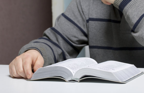 ������ѵ