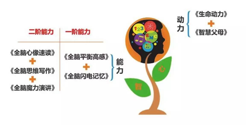 ��ͯע������ѵ